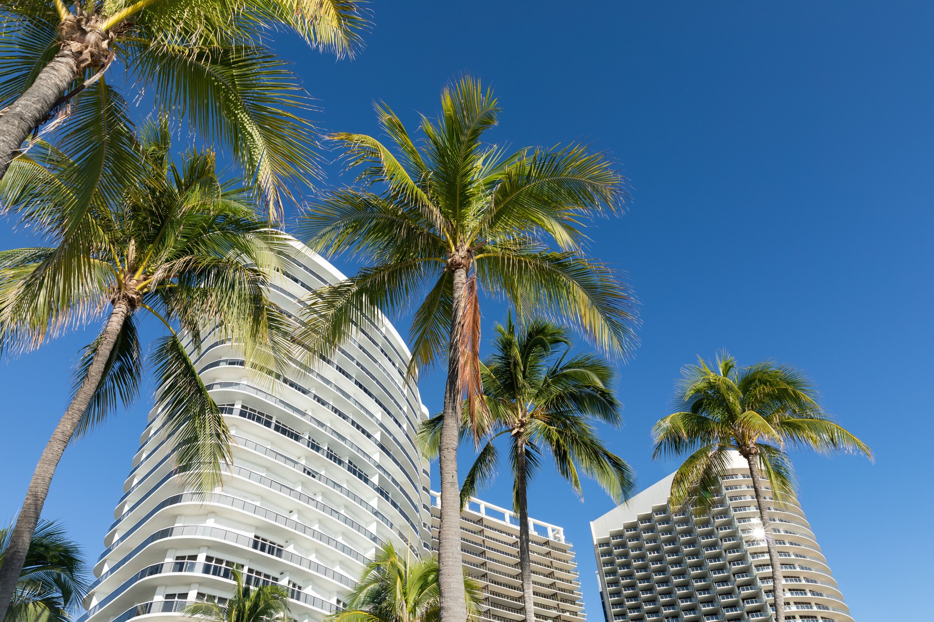 Bal Harbour Luxury Condominiums and Palm Trees